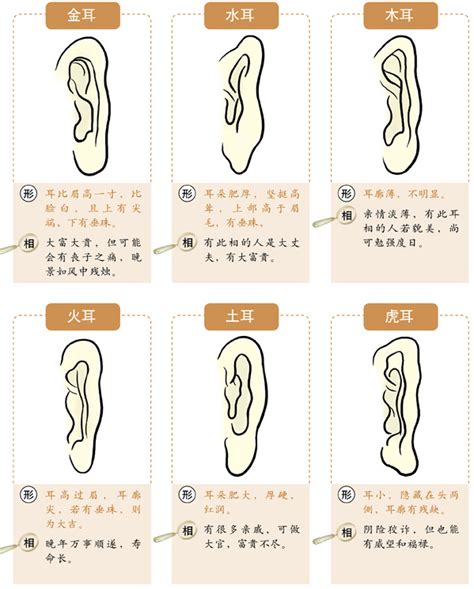 耳相學|十六种耳朵面相图文分析三六风水网